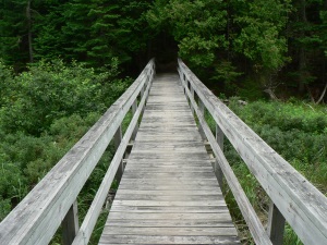 Bridge on the walking path